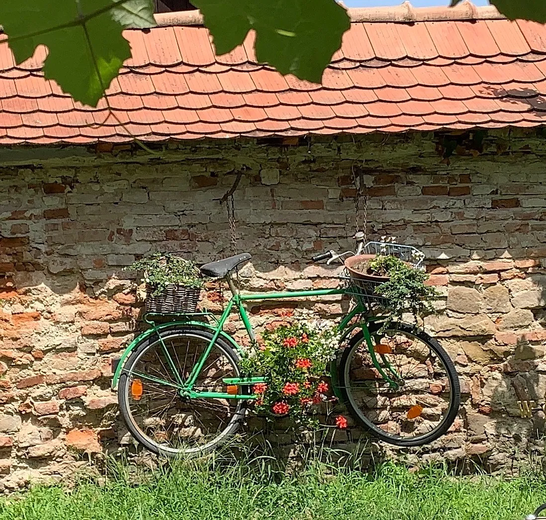 Fahrrad mit Blumen lehnt an einer alten Mauer.