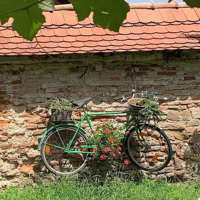 Fahrrad mit Blumen lehnt an einer alten Mauer.
